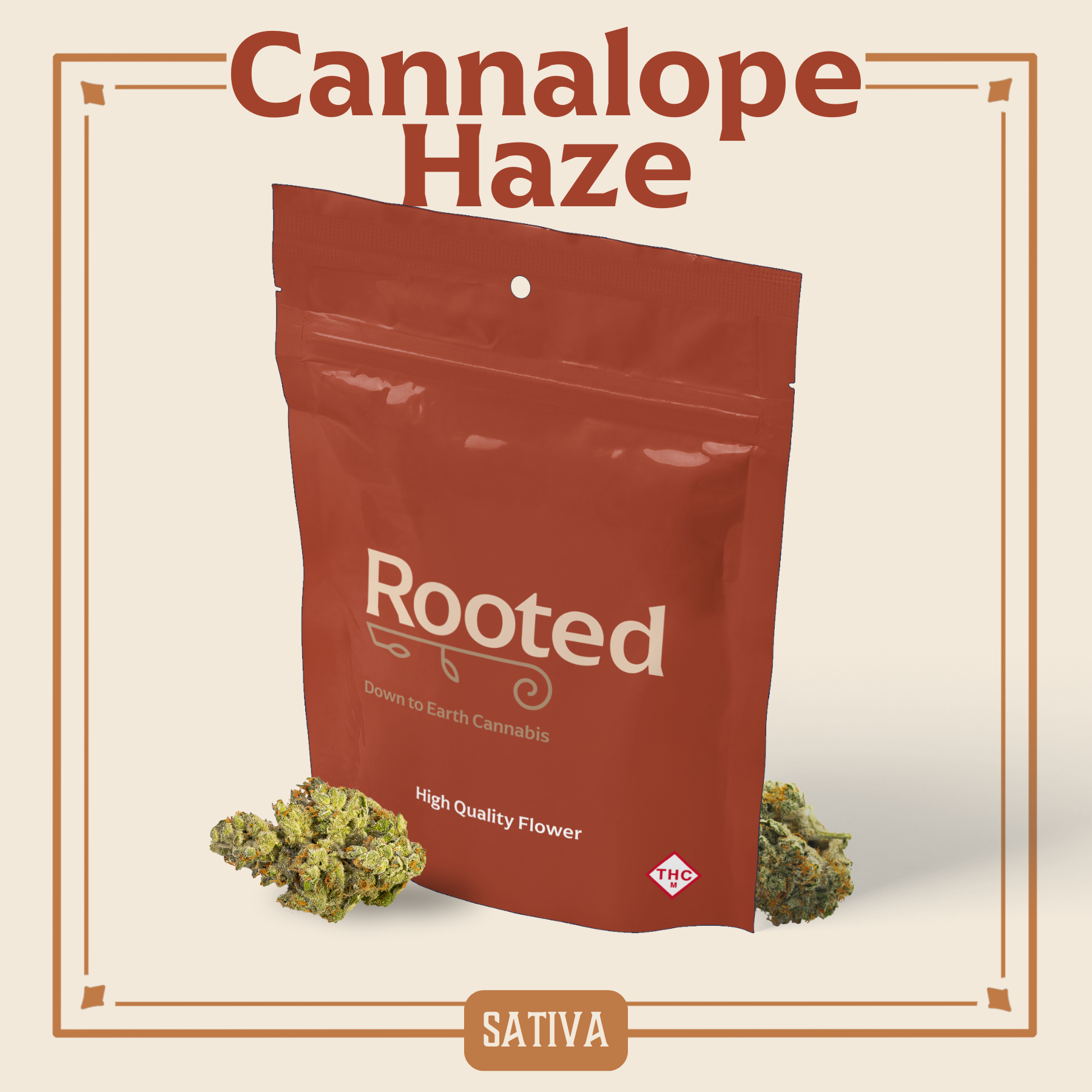 Photograph of product: Cannalope Haze Flower | 3.5g
