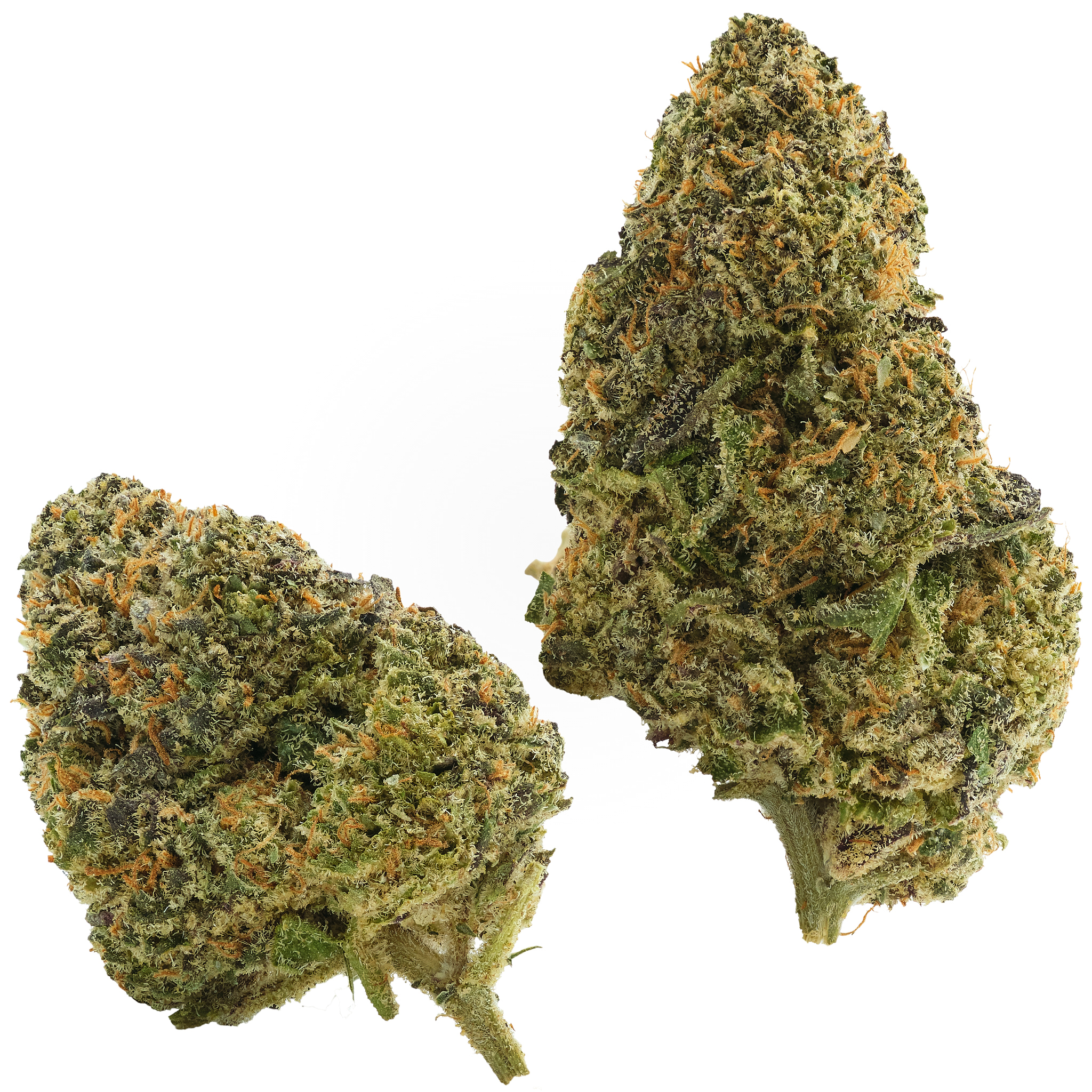 Photograph of product: Sub Zero - 28g