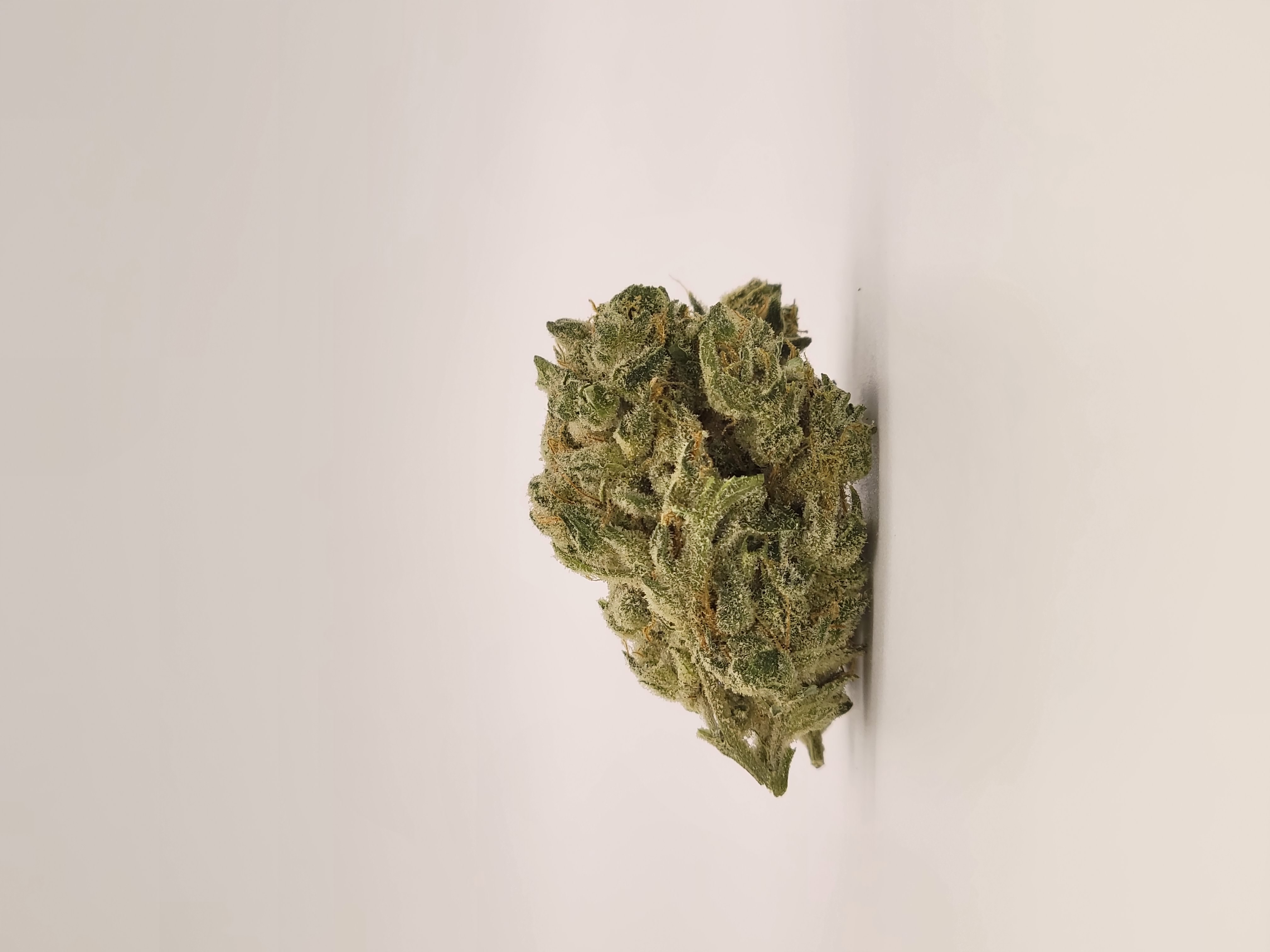Photograph of product: 20% OFF HONEY BANANAS EIGHTH