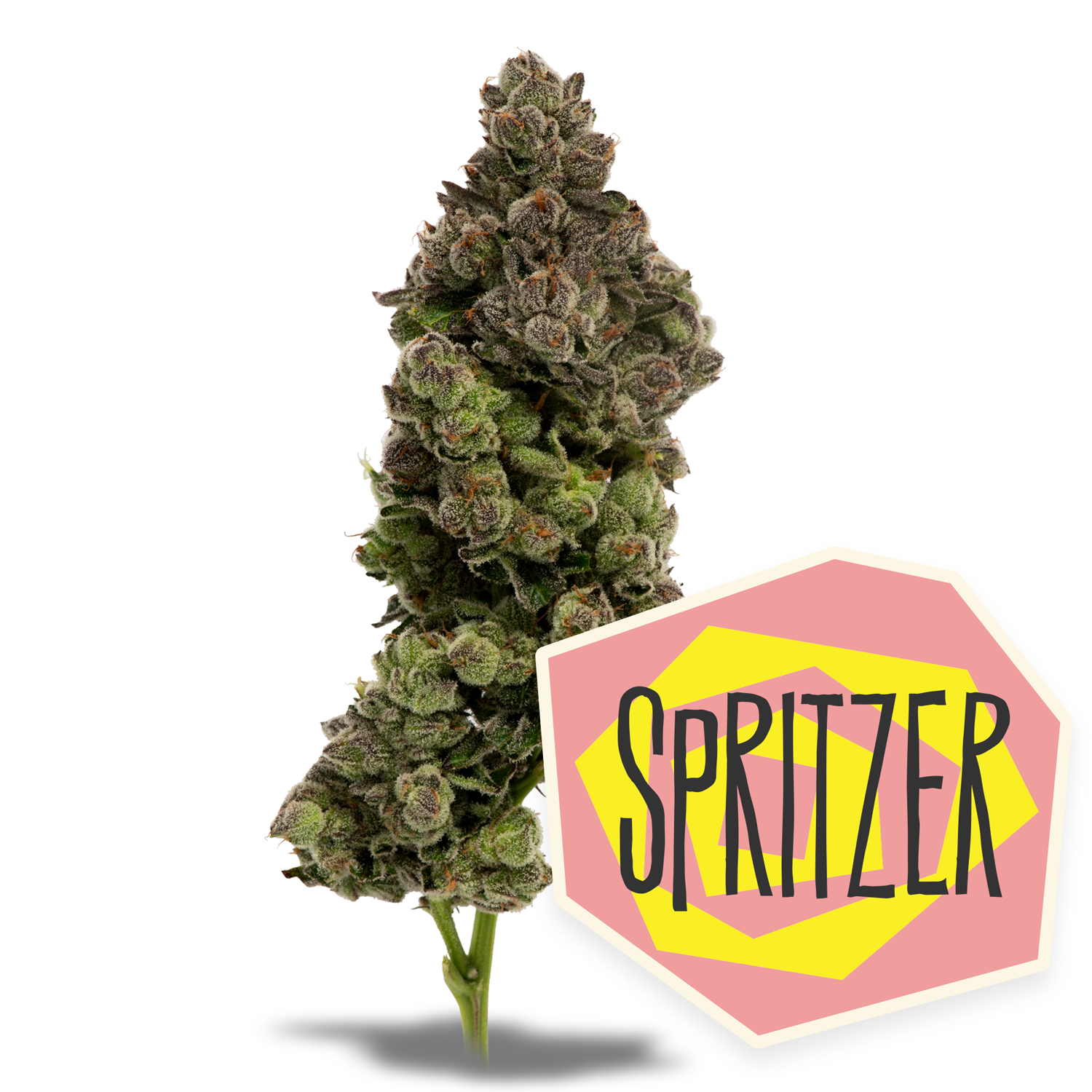 Photograph of Product: Spritzer - 7g