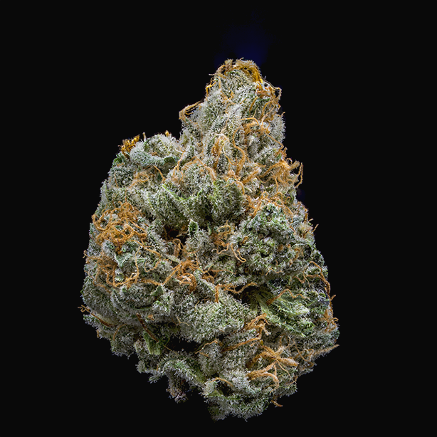 Photograph of product: Jar Co - Guava Mints 3.5G