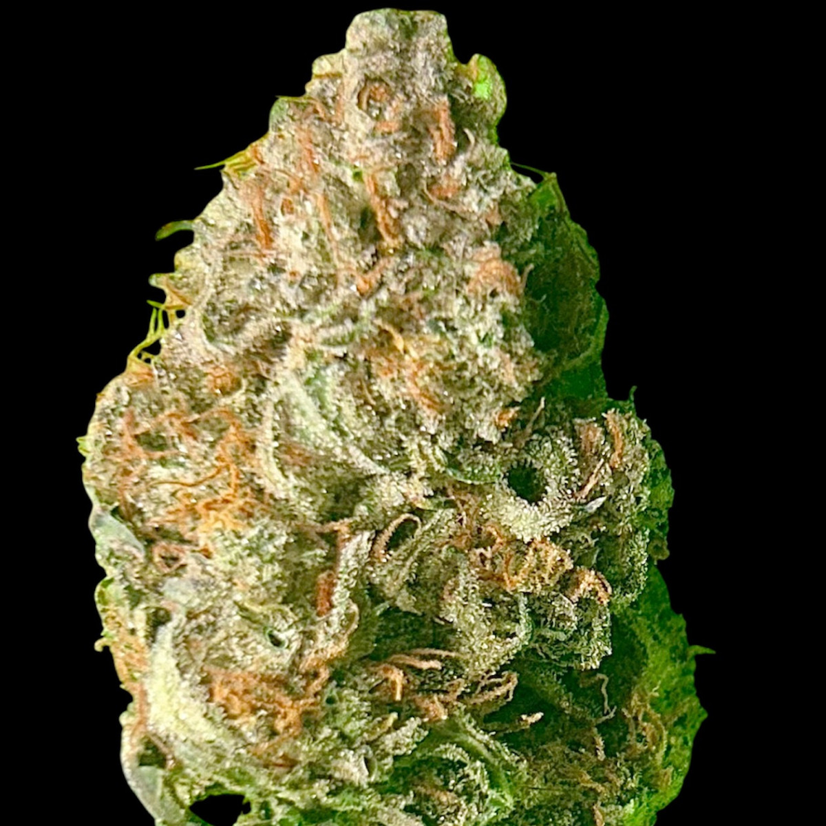 Photograph of product: Afghani Kush - 14g