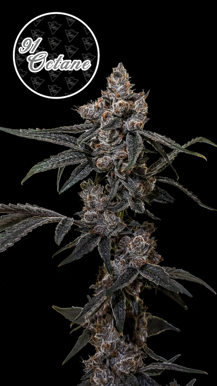 Photograph of product: 91 Octane - 3.5g