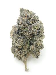 Photograph of product: Flower | Banana Conda | Wise Guys - 28g