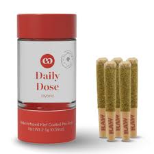 Photograph of product: Common Citizen - Z Lato - 5 x Infused Preroll Pack