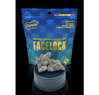 Photograph of product: Ooowee | FaceLock - 7g