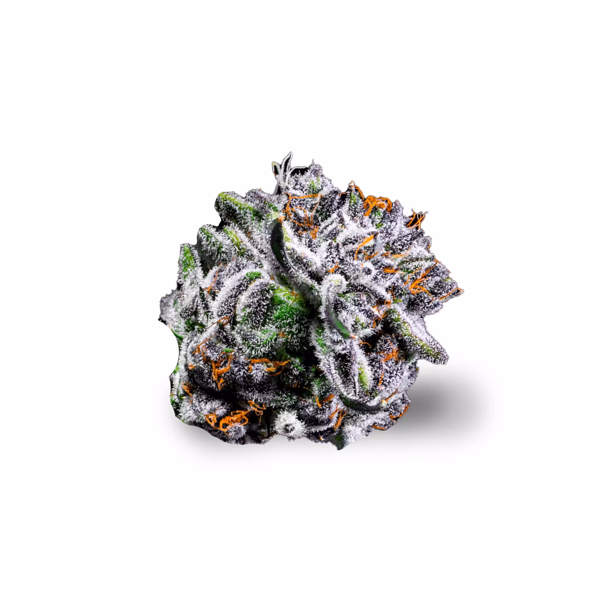 Photograph of product: Boston Rntz #5 - 3.5g