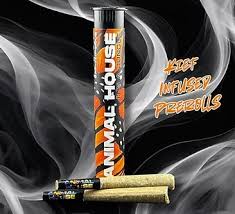 Photograph of product: Animal House | Vanilla Cream | 3pk 0.5G Kief Infused Pre-roll