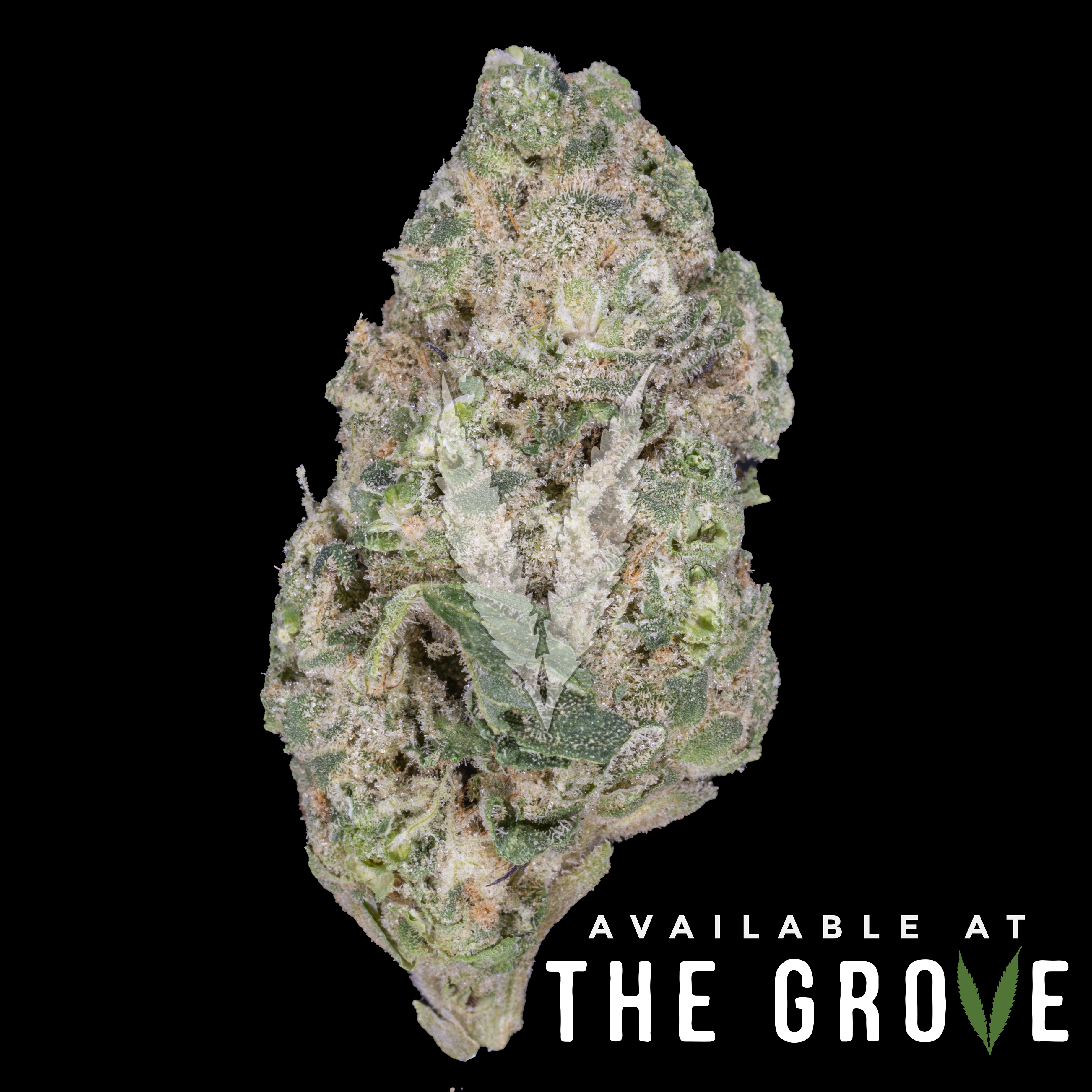 Photograph of product: Dime Bag | Gush Mintz 1/8th - 3.5g