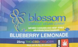 Photograph of product: *Gummy - Blossom - GREEN LEAF SPECIAL (B) - Blueberry Lemonade 1:1:1:1