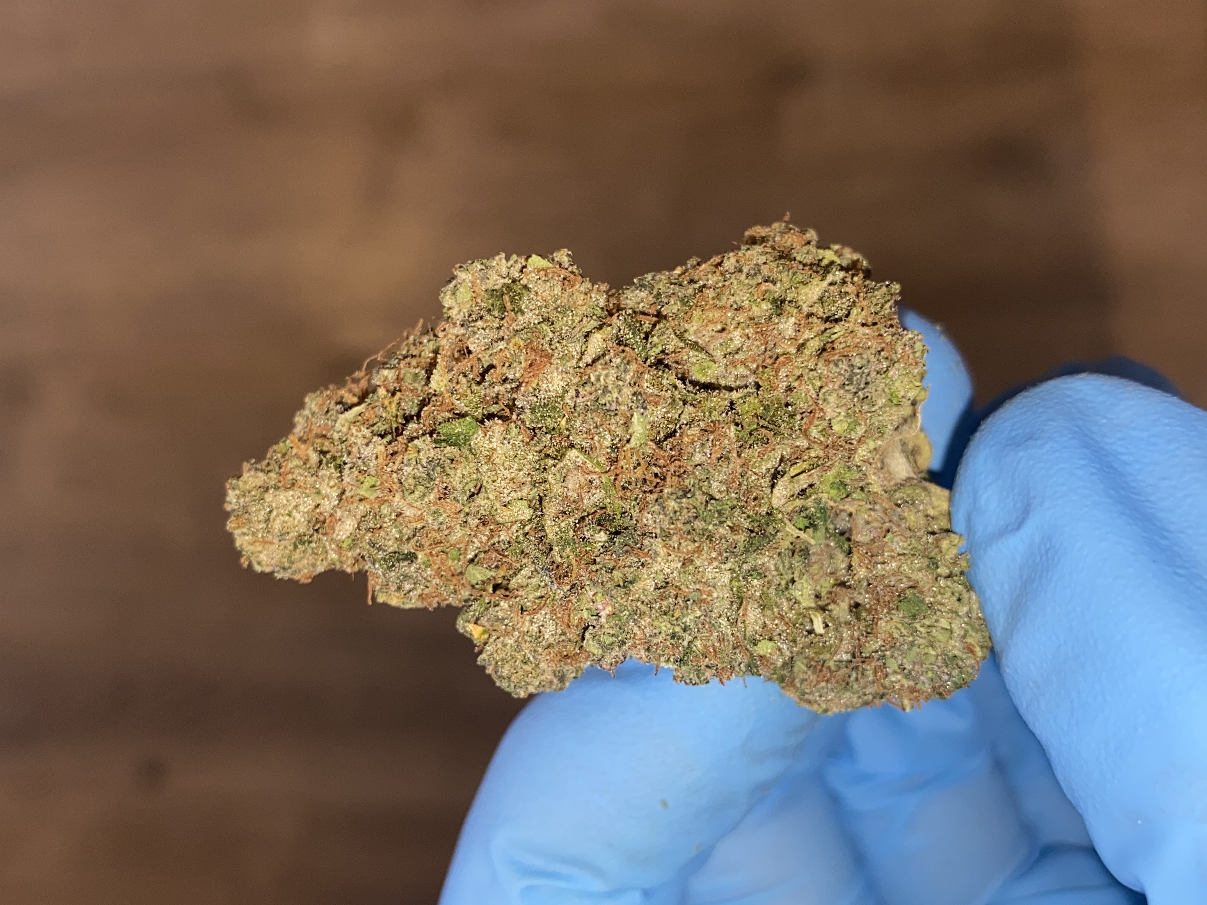 Photograph of product: Tropicana Pie Eyed | Premium Flower - 28g