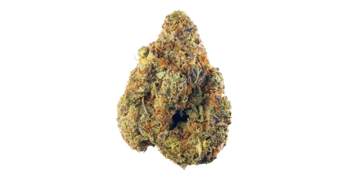 Photograph of product: Jungle Wifi Flower - 3.5g