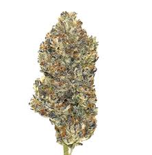 Photograph of product: Blue Pave (NTH) - 3.5g