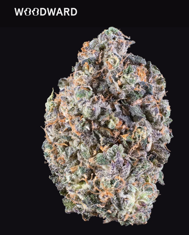 Photograph of product: Candy Rain | 5.66g