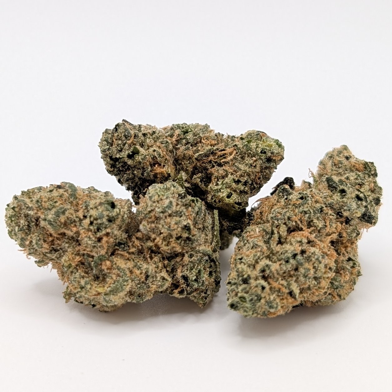 Photograph of product: Black Maple 14g