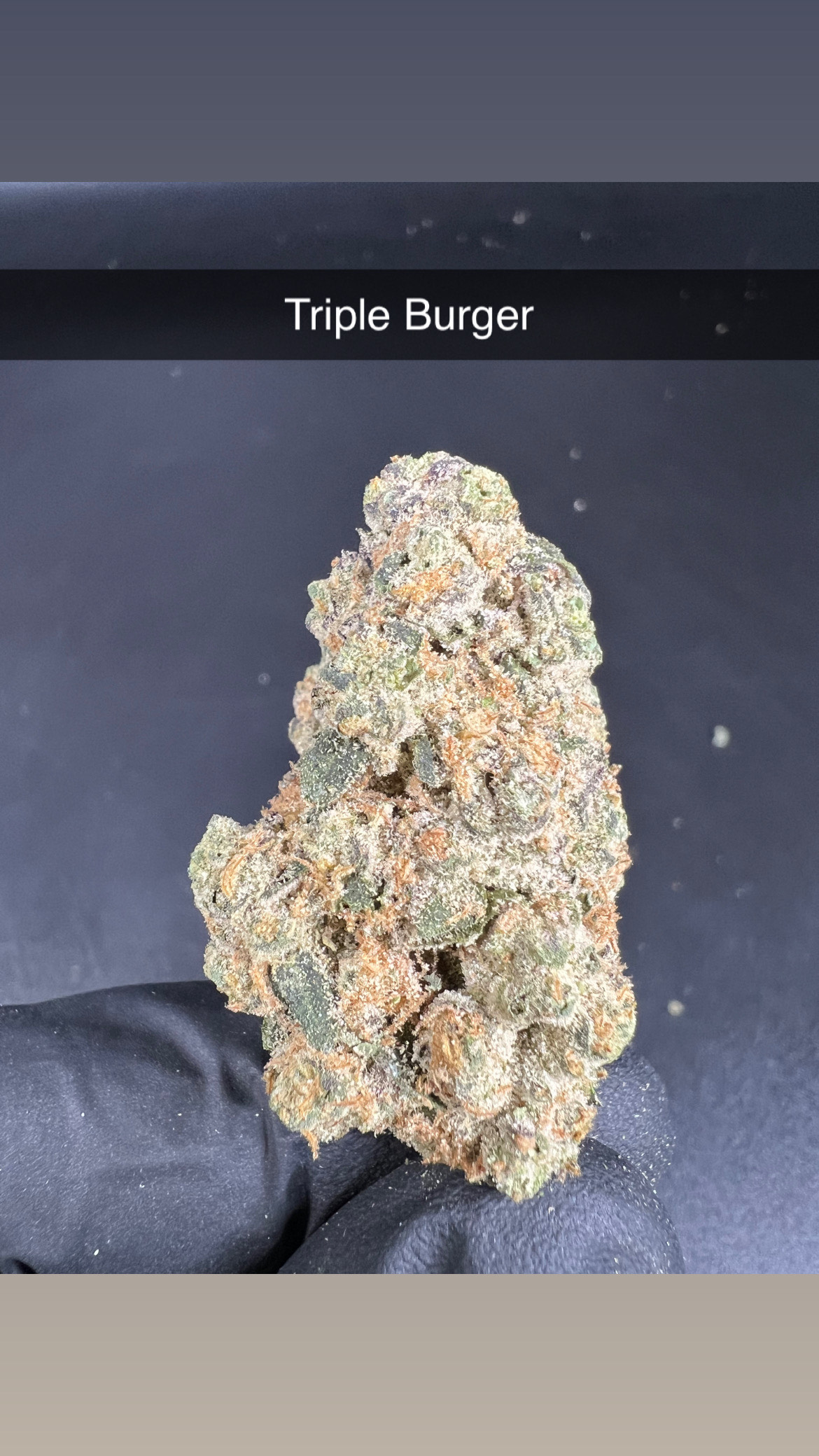 Photograph of product: Triple Burger - Flower - Hybrid - 2g