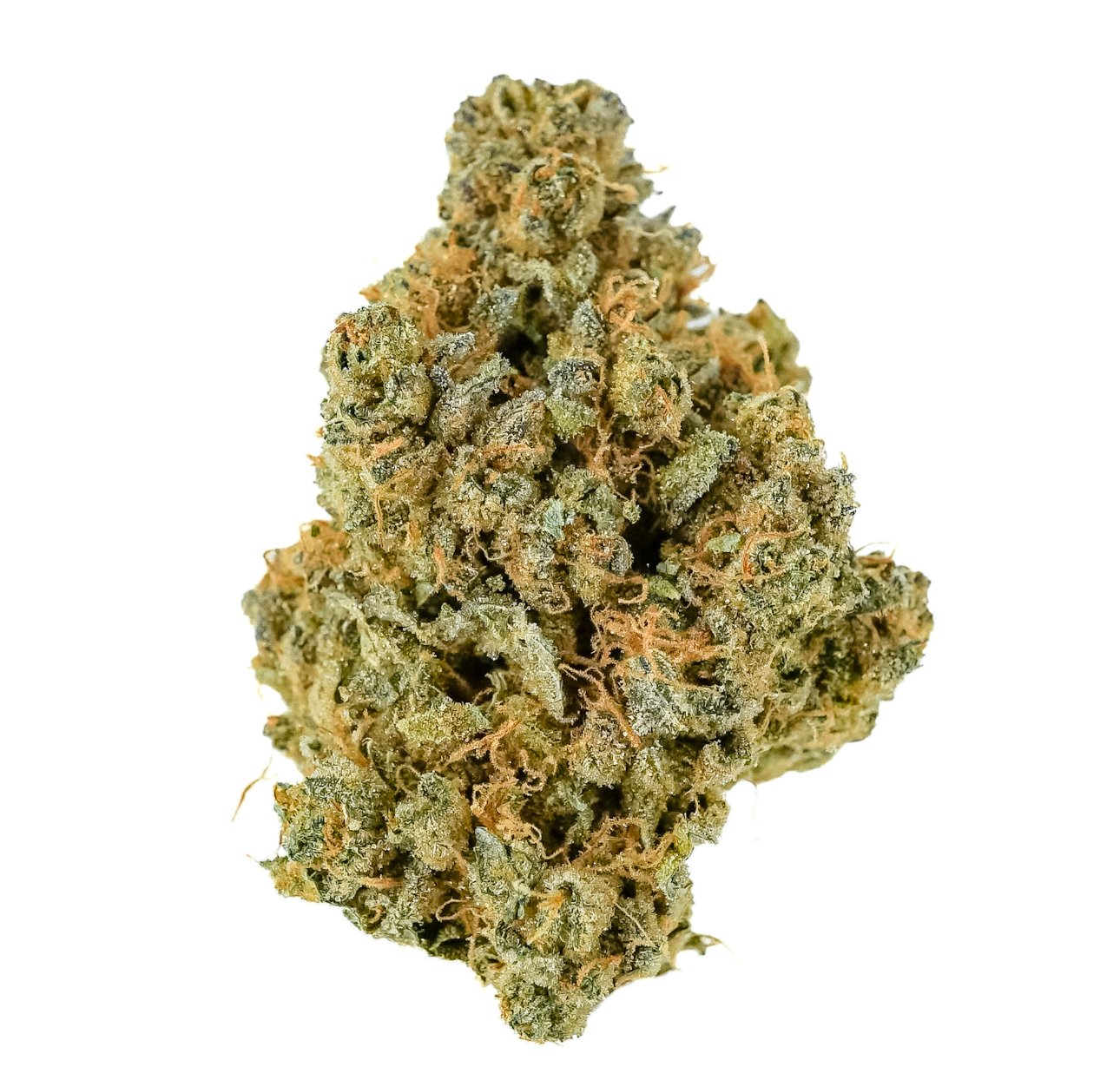 Photograph of product: Pruf Cultivar Prodigy #10 - 14g
