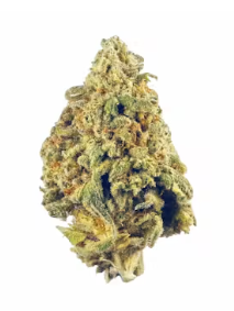Photograph of product: HL - Blueberry French Toast - pre-packed - 1g