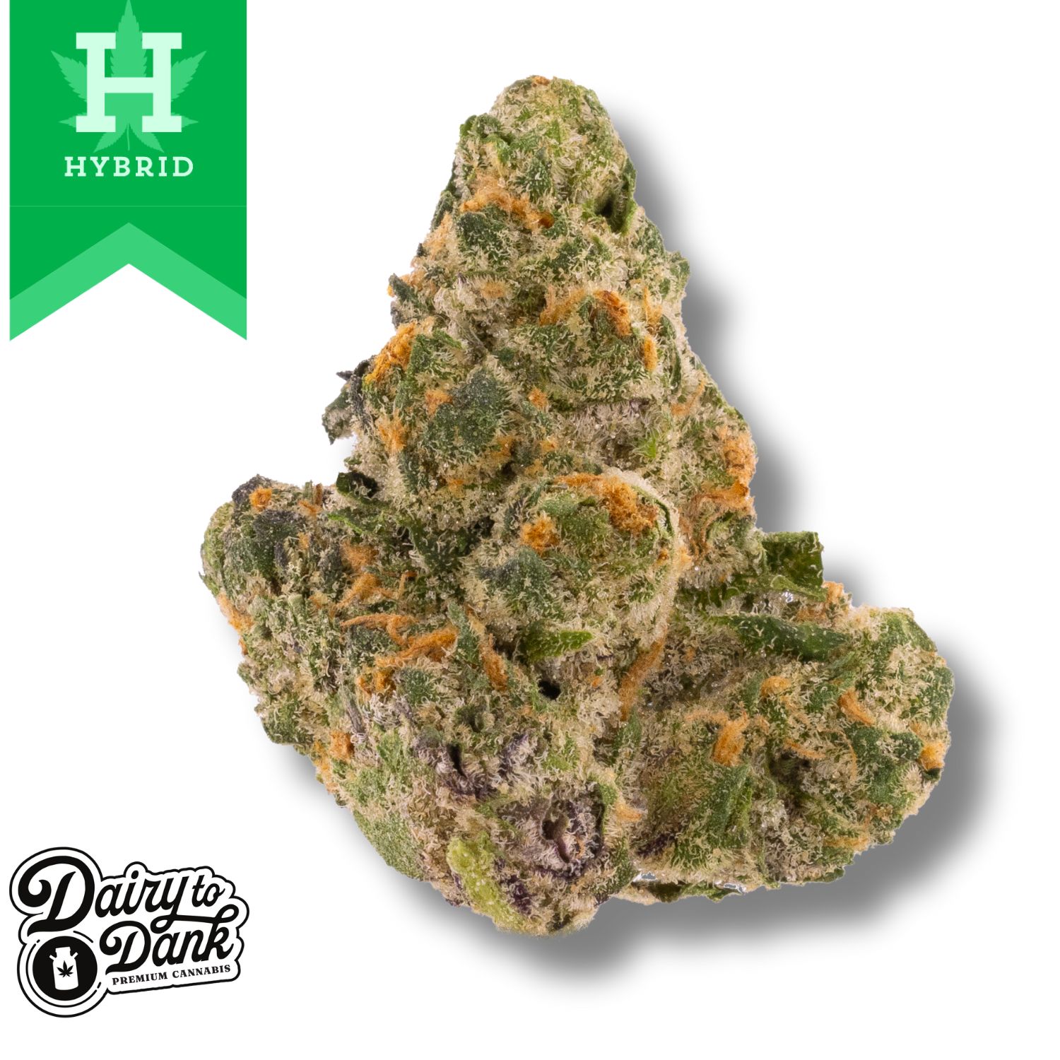 Photograph of product: D2D | Flower | Pre-Pack 3.5g | 1pk | 8' Bagel (HYB) | Bigs
