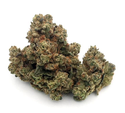 Photograph of product: Juniper Jive | 3.5g