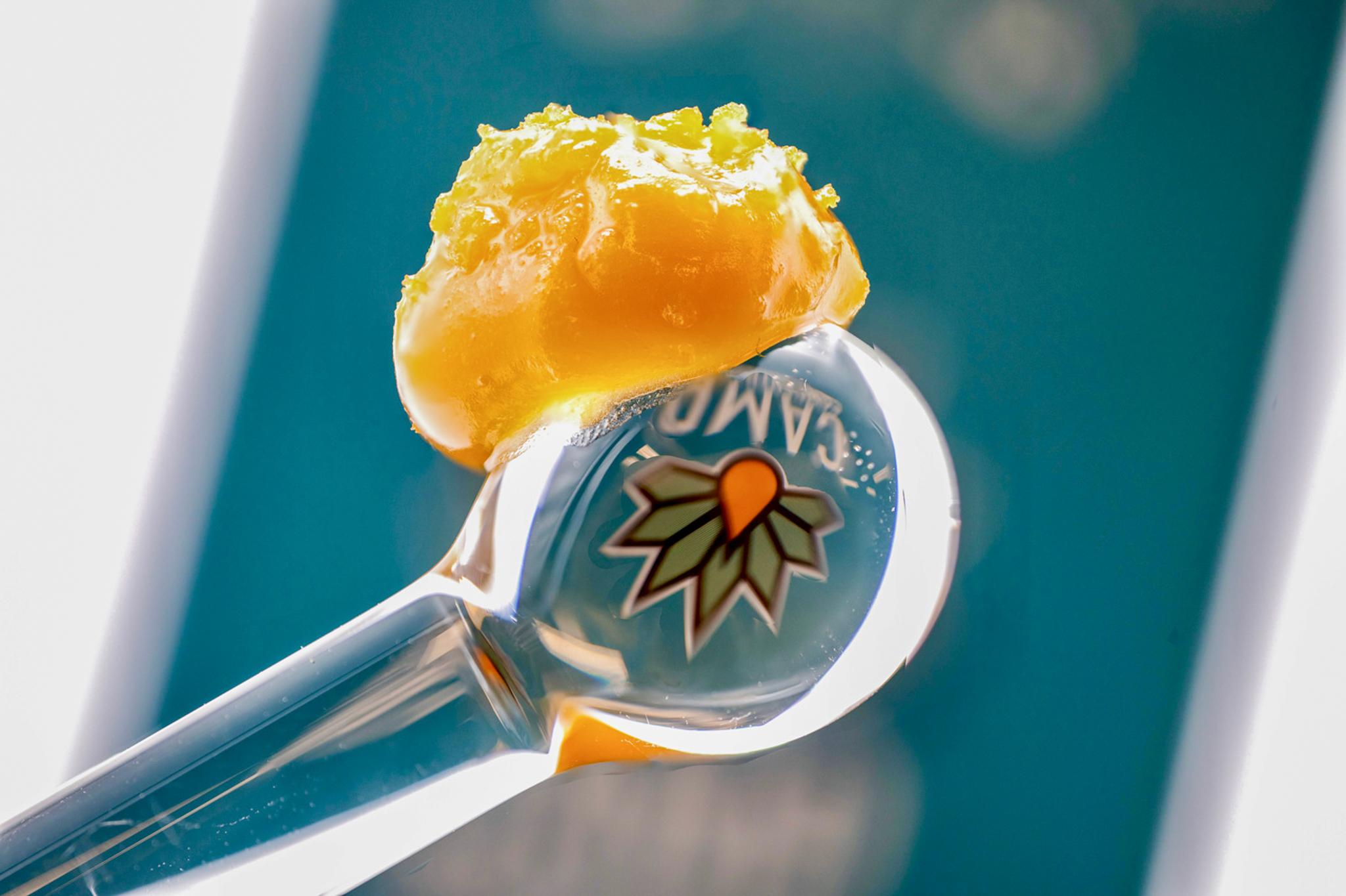 Photograph of product: Camp Oui'd Watermelon Z Budder | 1g