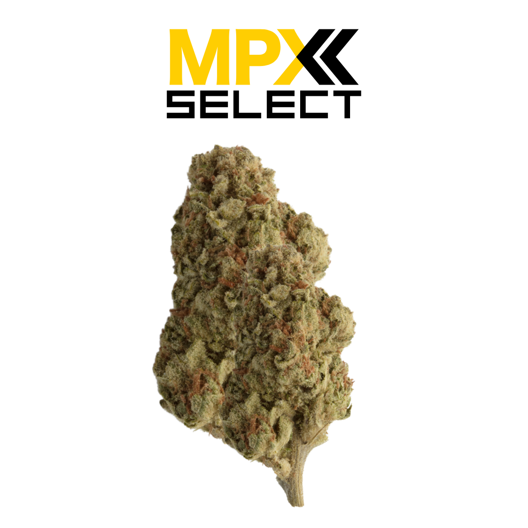 Photograph of product: MPX Select Ice Cream Cake Flower - 3.5g