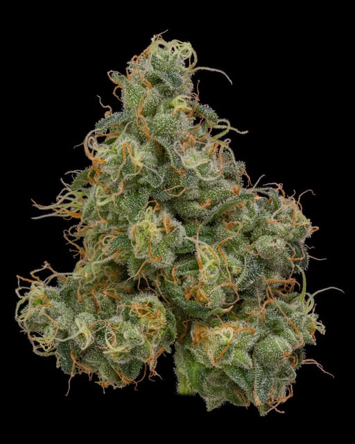 Photograph of product: Durban Poison - 3.5g - 