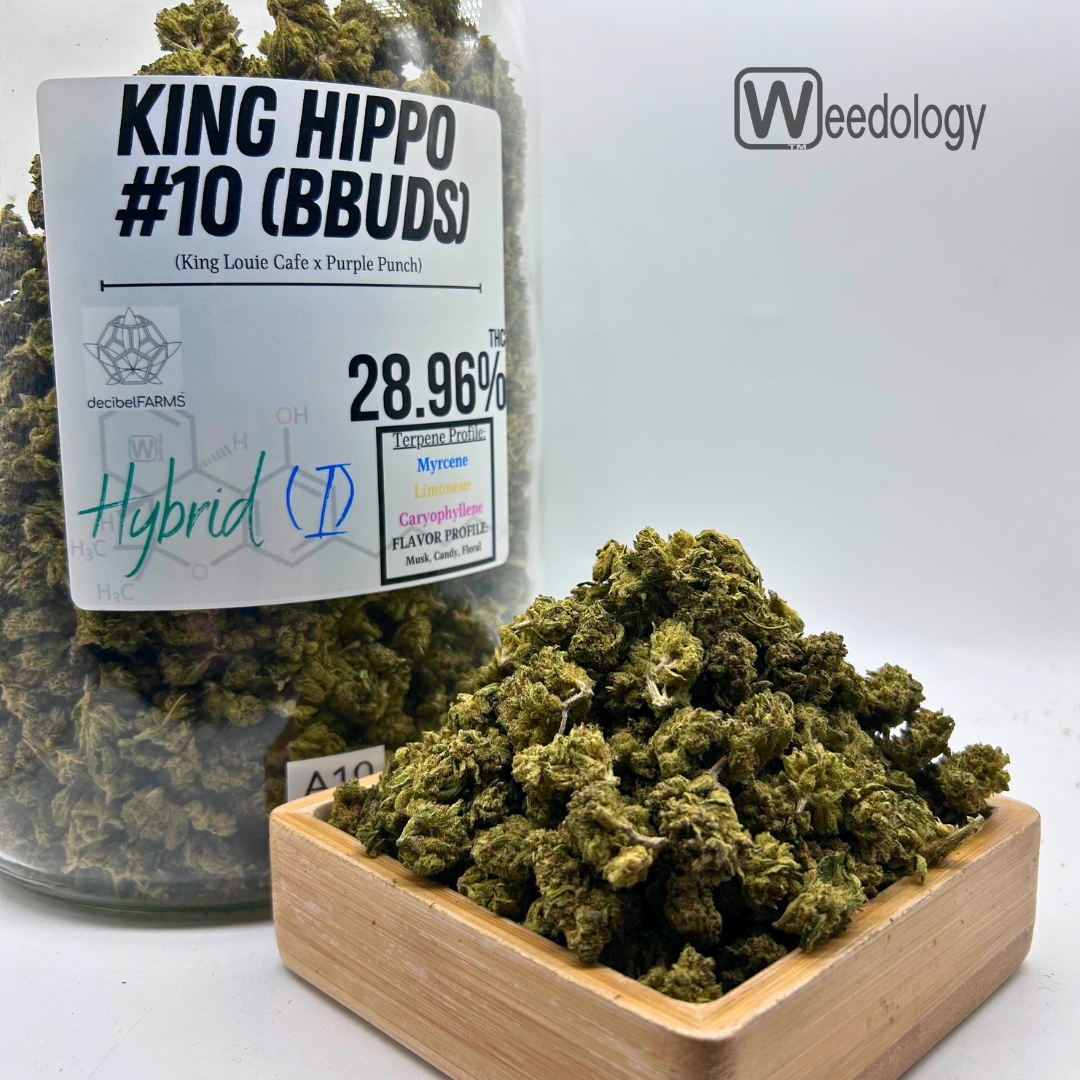 Photograph of product: King Hippo (BBUDS) (I-H) - 28g