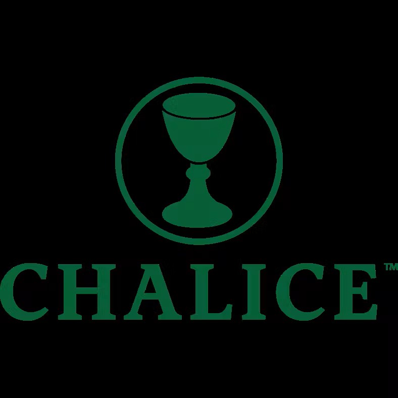 Photograph of Product: Chalice T - Heather Grass Green - S-XL