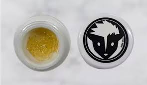 Photograph of product: Rare | Shatter | Jungle Pie (SH)*