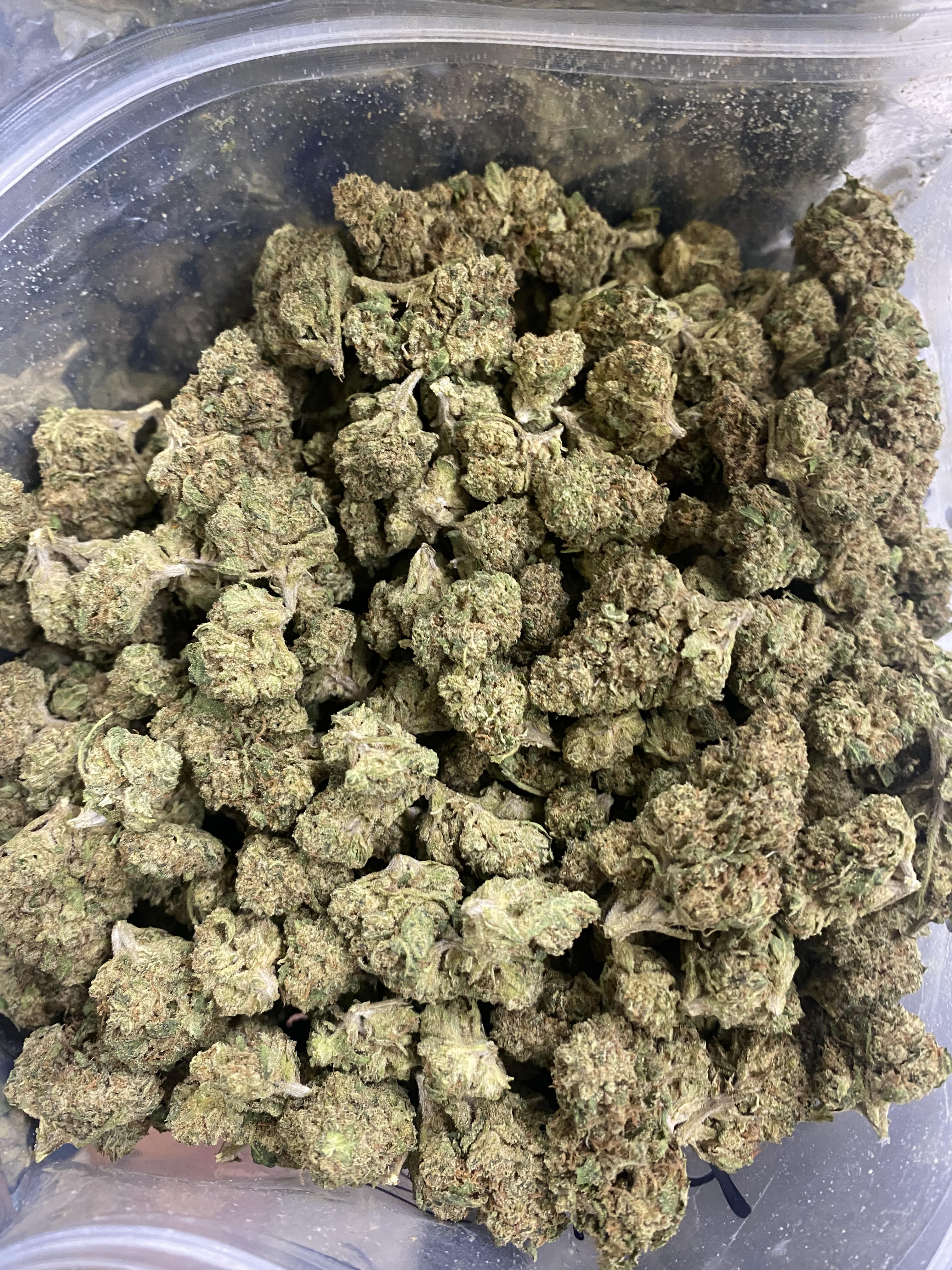 Photograph of product: Sundae Driver (H) - 3.5g