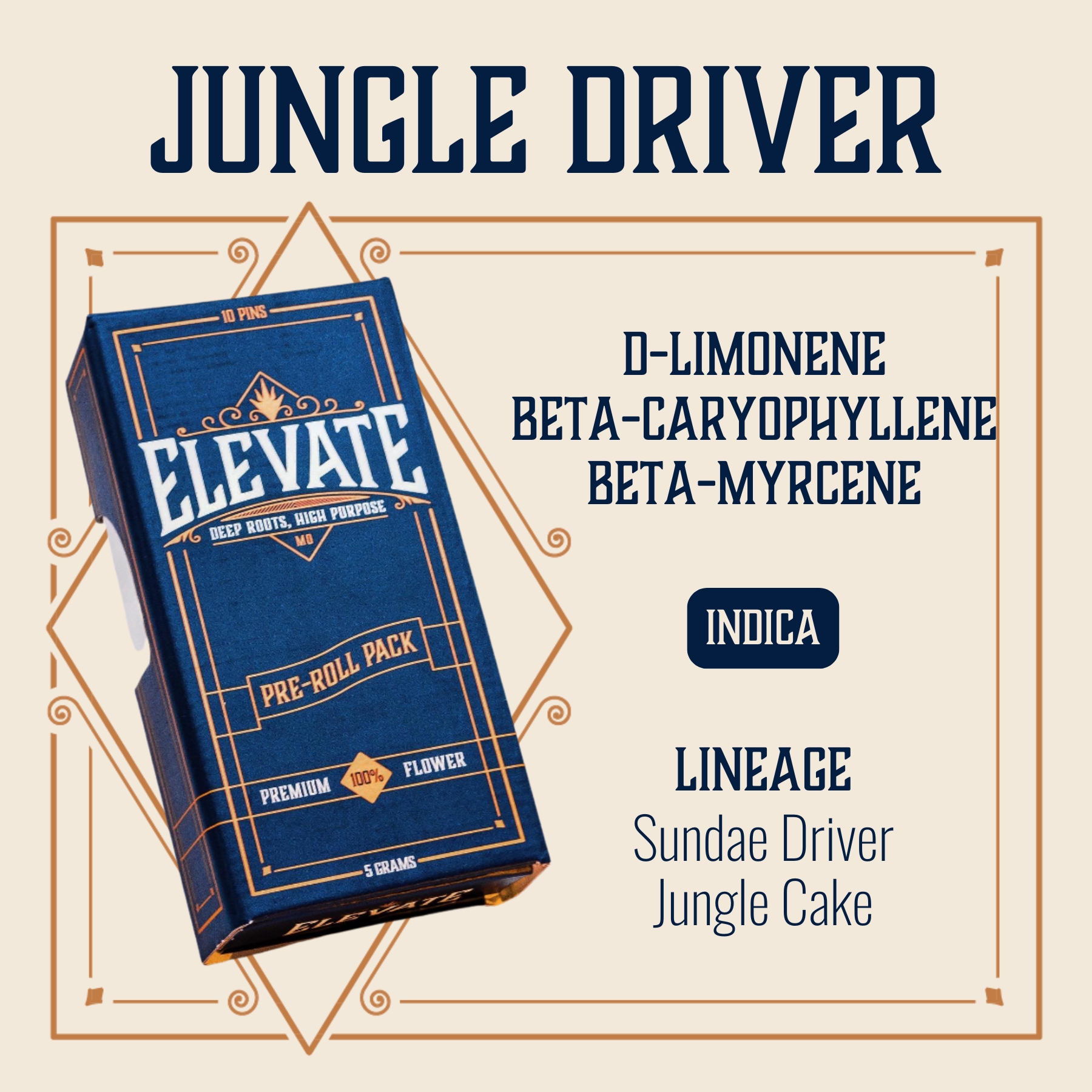 Photograph of product: Jungle Driver Pins Pre-Roll | 10-pack