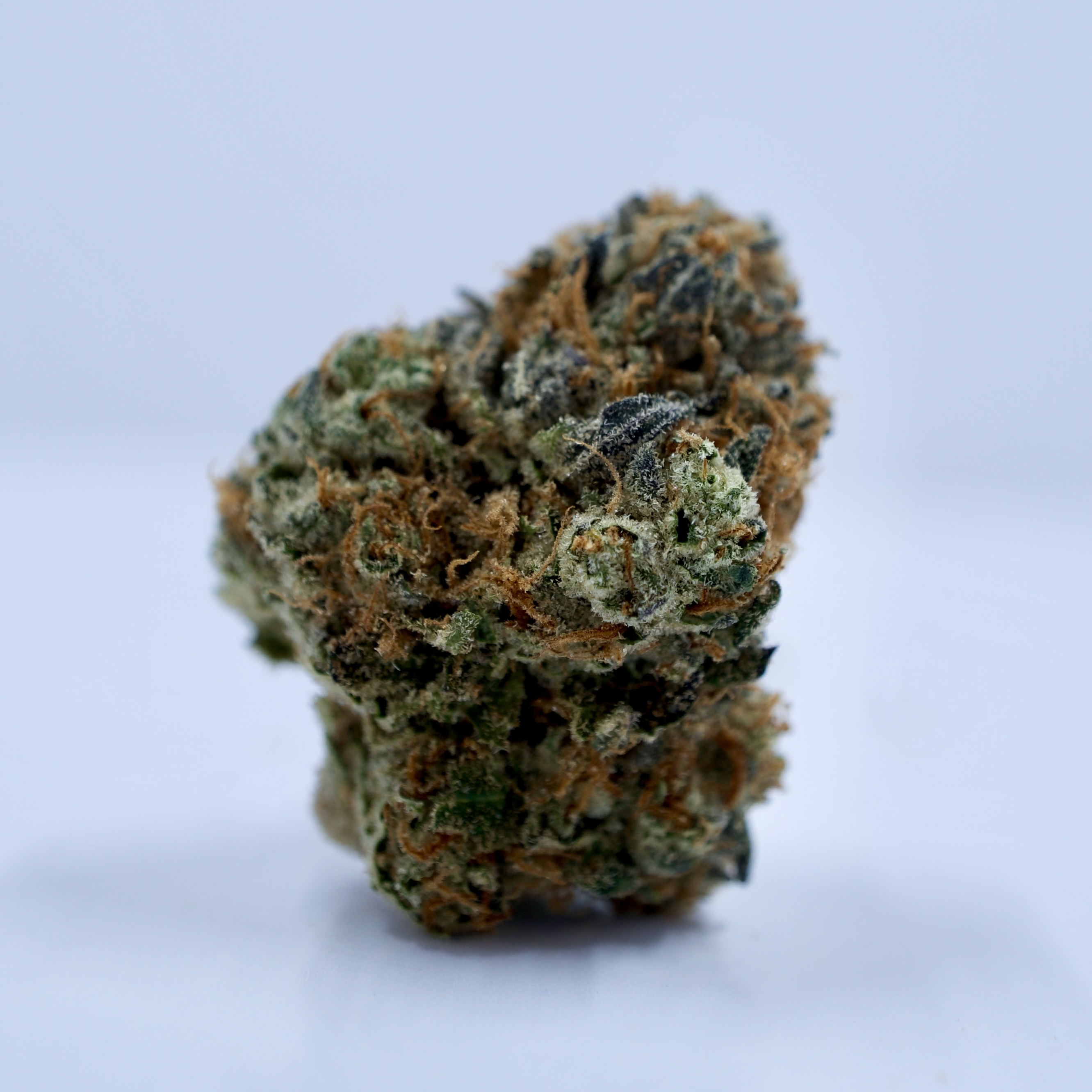 Photograph of product: Sour Banana Sherbert | TAC: 26.3% - 28g