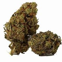 Photograph of product: Bigfoot Glue 1/4 - 7g