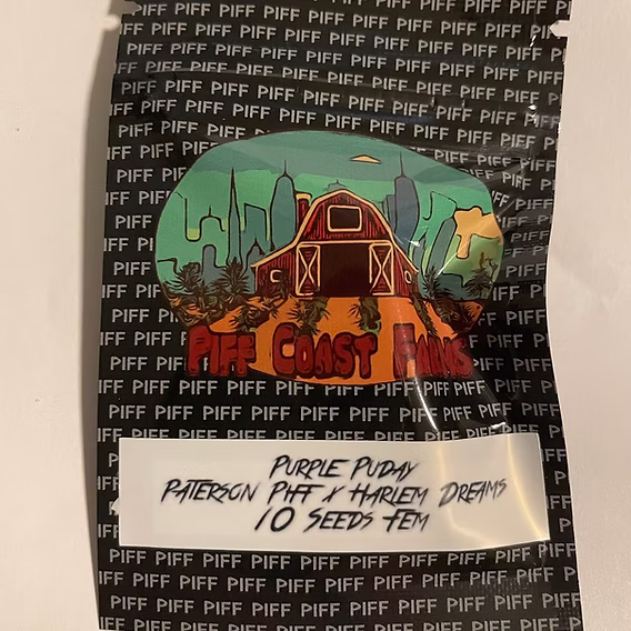 Photograph of product: Piff Coast Farms - Purple Puday Seeds 3pk