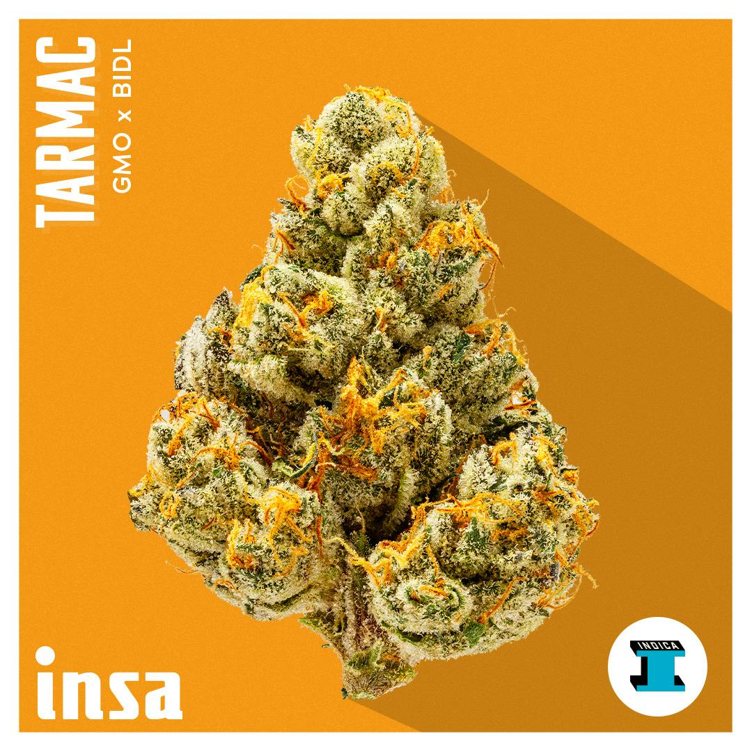 Photograph of product: I.N.S.A. | Flower | Tarmac - 3.5g