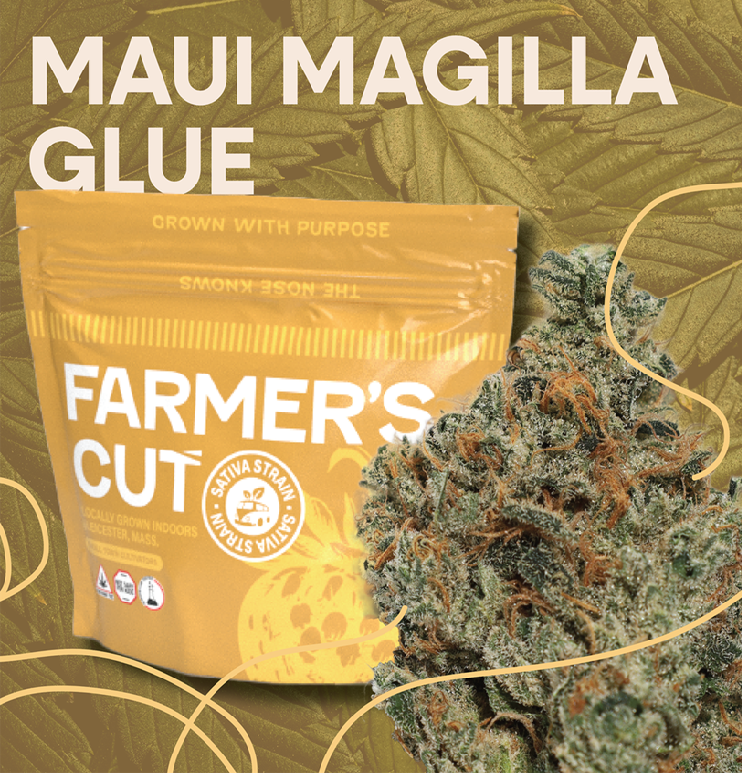 Photograph of product: Maui Magilla Glue - 28g
