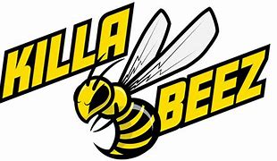 Photograph of product: Killa Beez Palm Battery