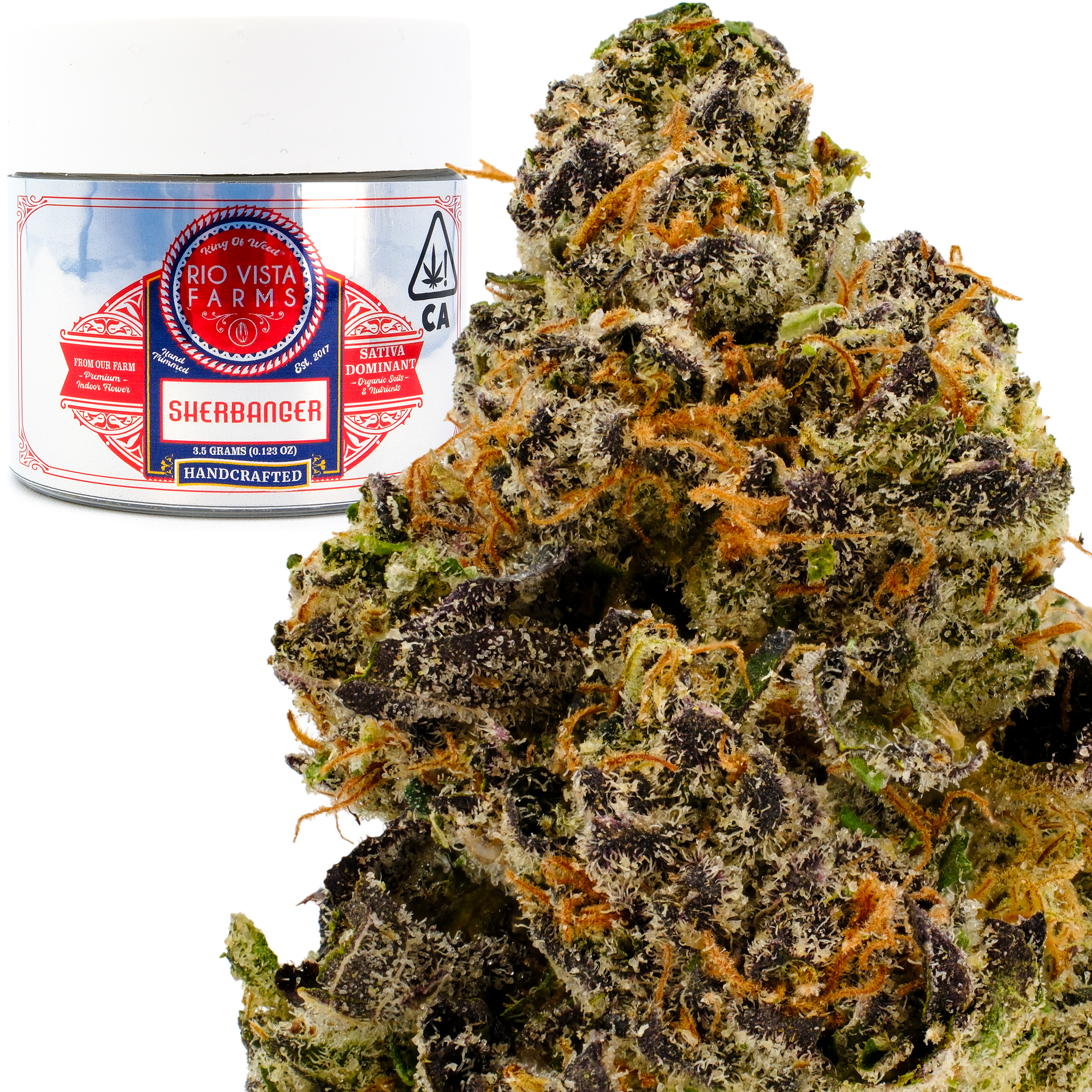 Photograph of product: Sherbanger 3.5g Jar - Rio Vista Farms