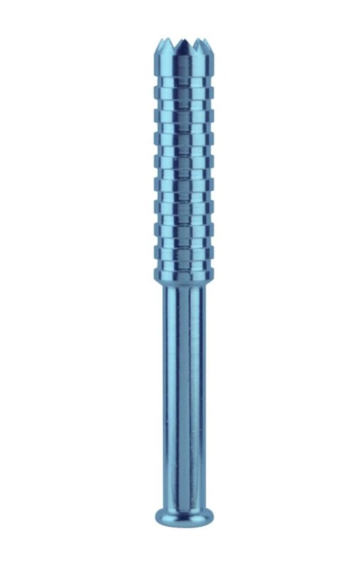 Photograph of product: THE DIGGER 3" TASTER BAT | ASST COLORS