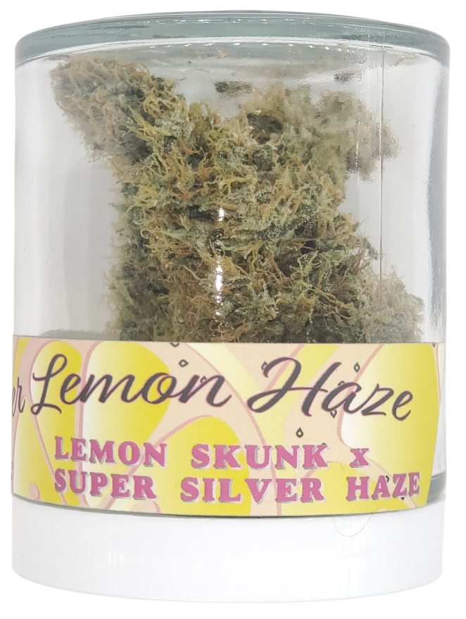 Photograph of product: Fifty Fold Super Lemon Haze - 3.5g