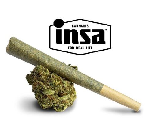 Photograph of product: INSA - Stellar Sunrise - - Pre Roll