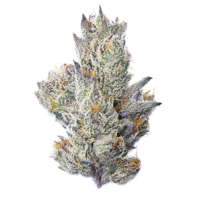 Photograph of product: Guavascotti | 3.5g Flower