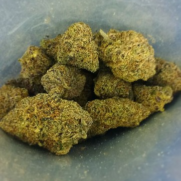 Photograph of product: Gold Ca$h Gold (Eugreen)