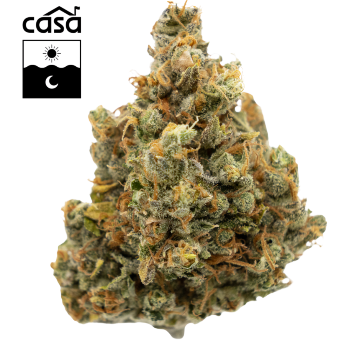 Photograph of product: Sour Orange Zkittles (HS) Buds | Casa - 7g