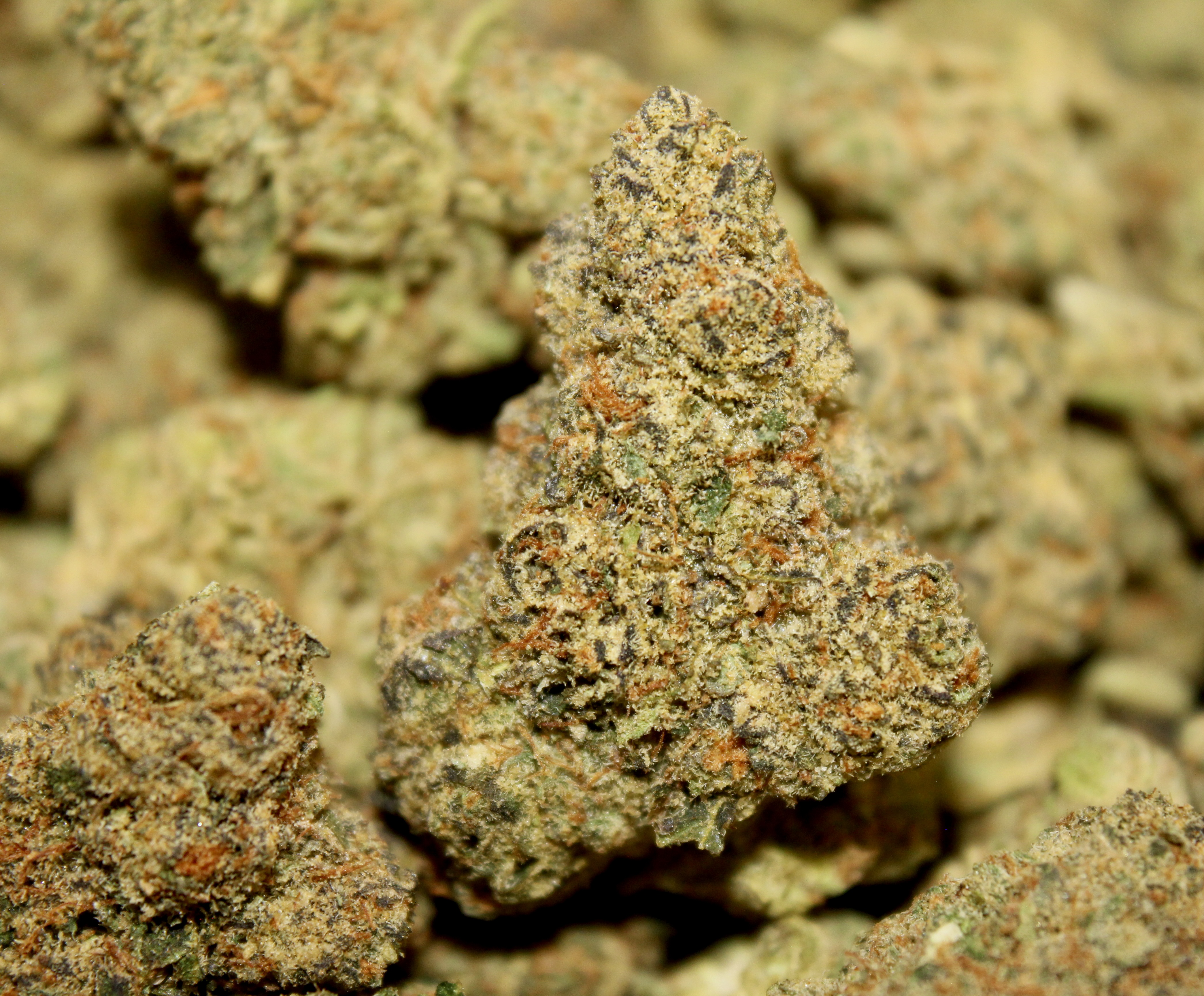 Photograph of product: Sharpiez (H)