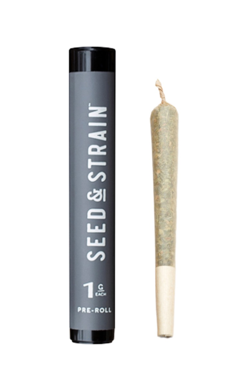 Photograph of product: Red Rocket | Pre- roll | 1G