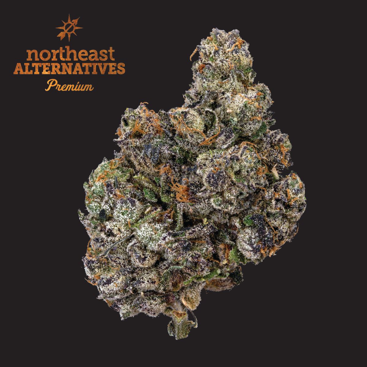 Photograph of product: Sherb Cream Pie (TAX INCLUDED) - 14g