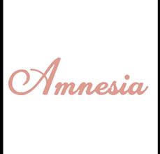 Photograph of product: Amnesia - Watermelon Freeze - 1.3g Bubble au chocolat Infused Preroll