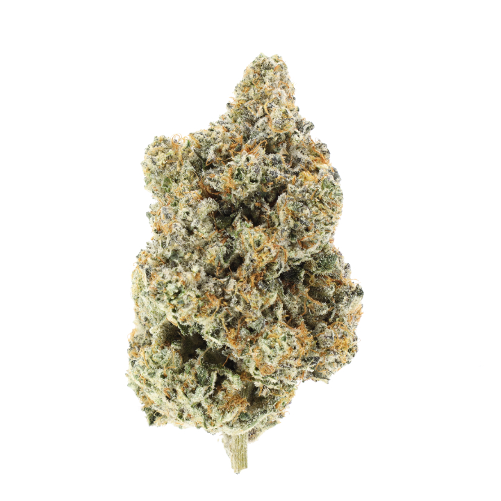 Photograph of product: CHEETAH PISS (H) 3.5G